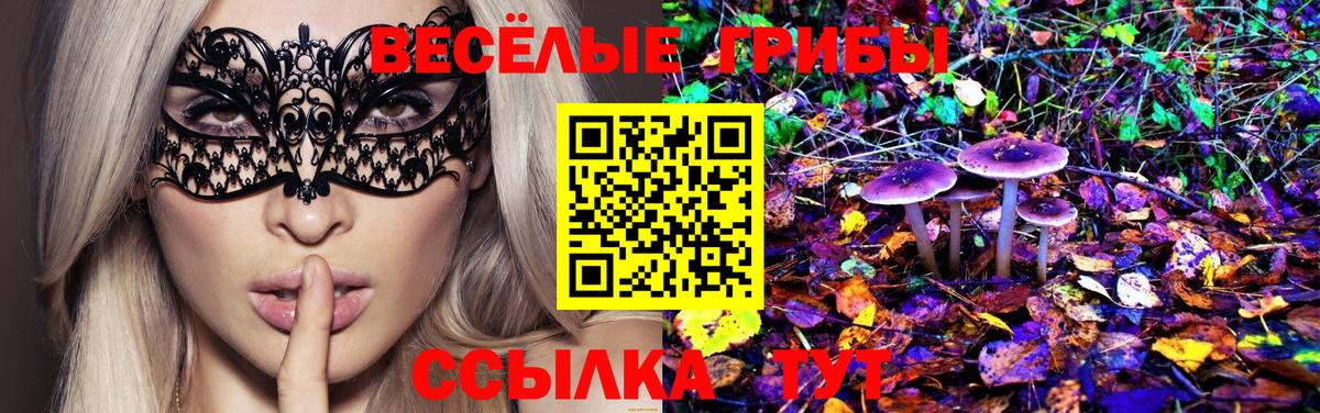 Нальчик  Галлюциногенные грибы Psilocybine cubensis  Вход с VPN  Псилоцибиновые грибы MAGIC MUSHROOMS 